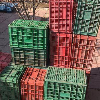 王恒峰 專注食用農(nóng)產(chǎn)品批發(fā)的誠信供應商