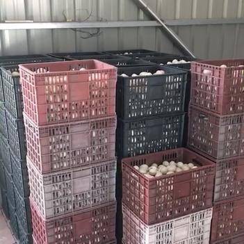 連接田間與餐桌的橋梁 探訪農(nóng)產(chǎn)品批發(fā)供應商帥浩的惠農(nóng)網(wǎng)之路