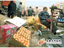 四川生蛆柑橘未流入烏魯木齊市場(chǎng)，市民可放心購(gòu)買(mǎi)食用