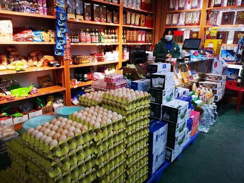 微聚焦 雁塔區啟動“三保”行動，全力守護市民“菜籃子”與畜牧漁業“糧袋子”